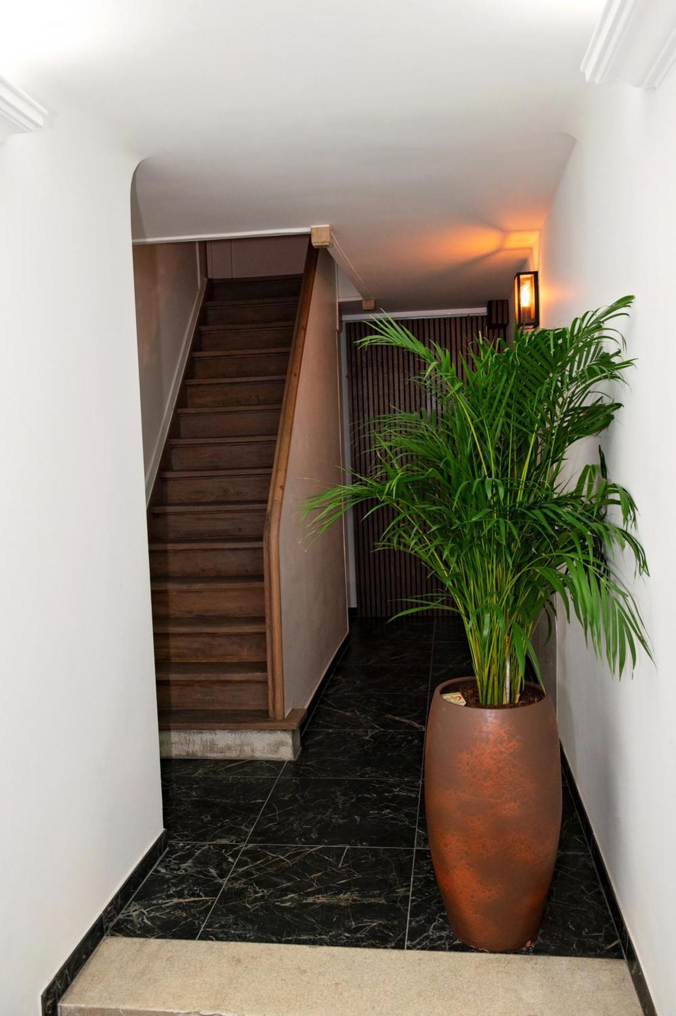 Botanique Airbnb,